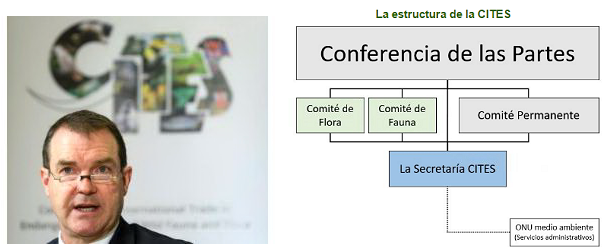 CITES_Secretario_Estructura[1].png